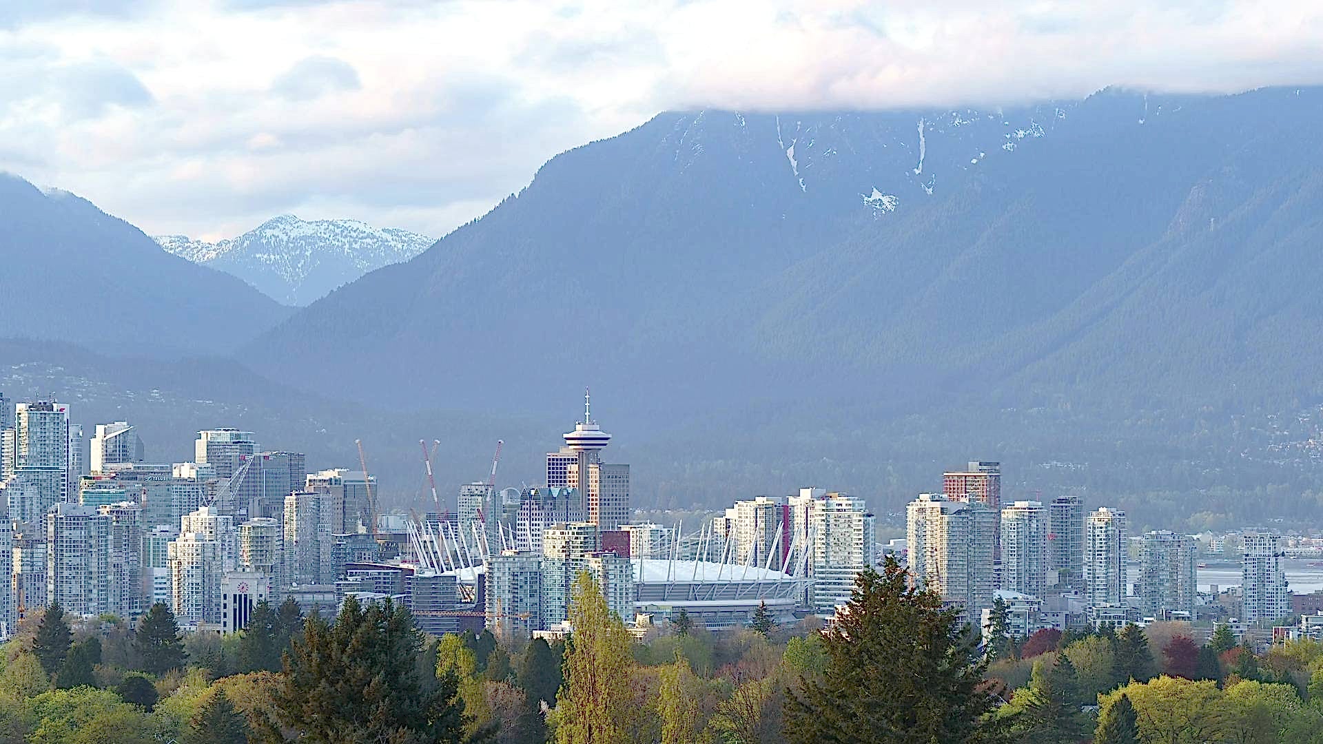 canadian immigration lawyer