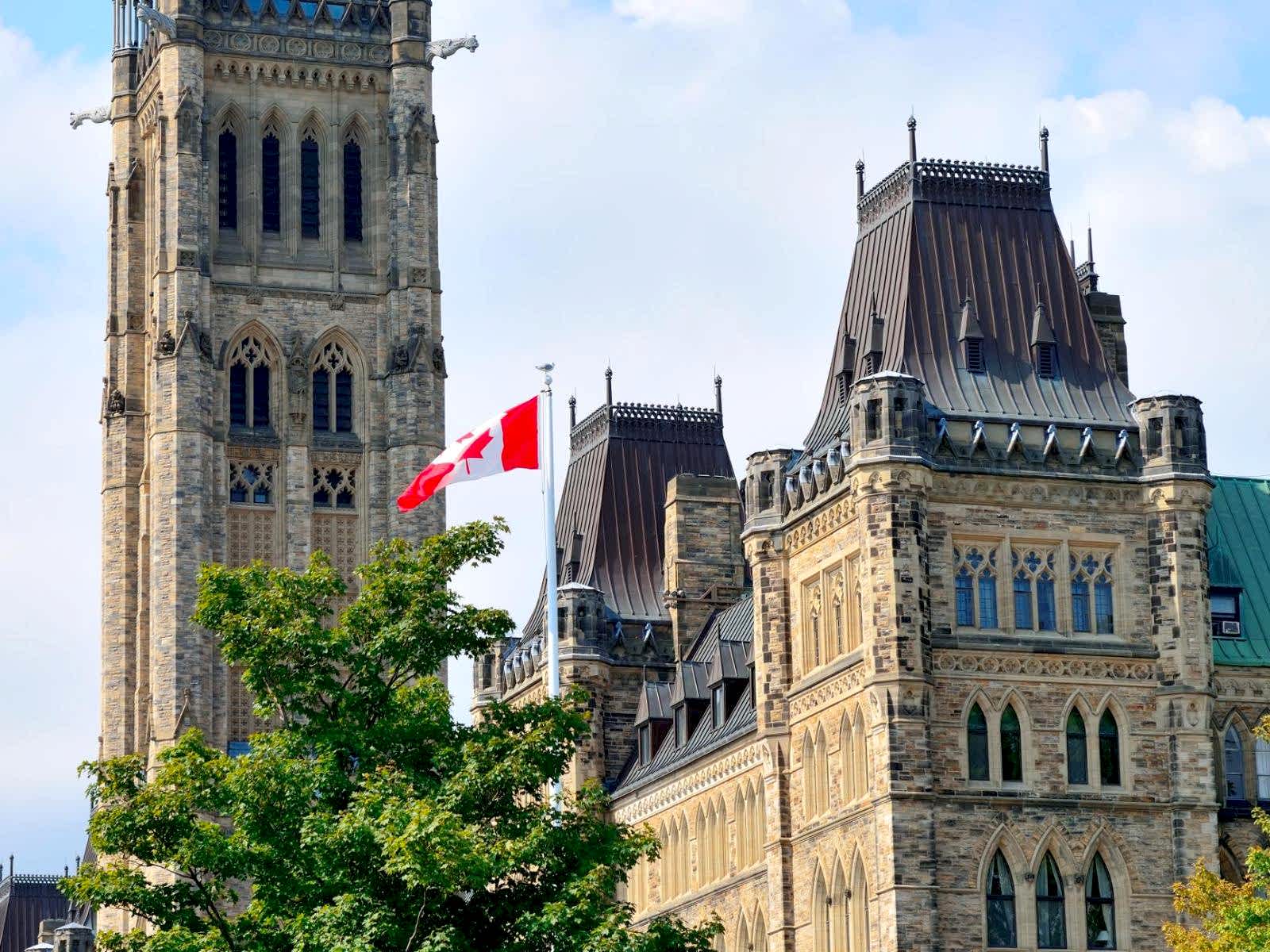 procedural fairness letter lawyer