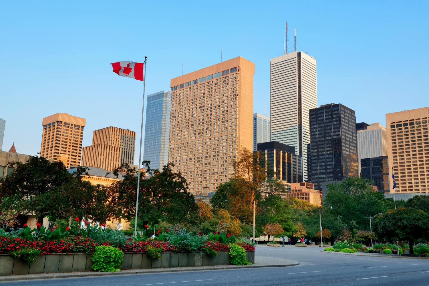 toronto street view after mandamus order